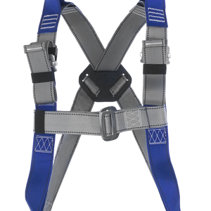 CS Rescue Harness